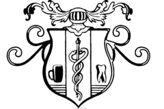 Logo Villa Volonte
